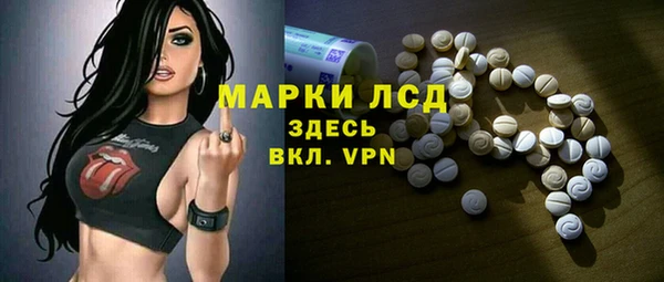 хмурый Белокуриха