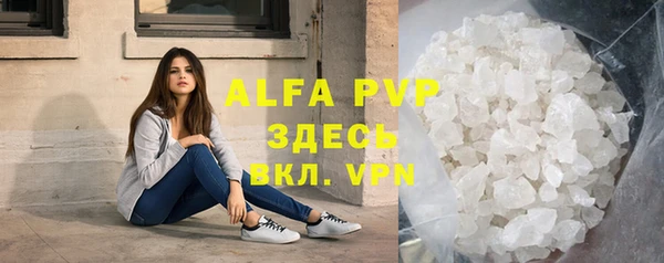 хмурый Белокуриха