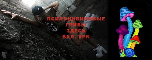 хмурый Белокуриха