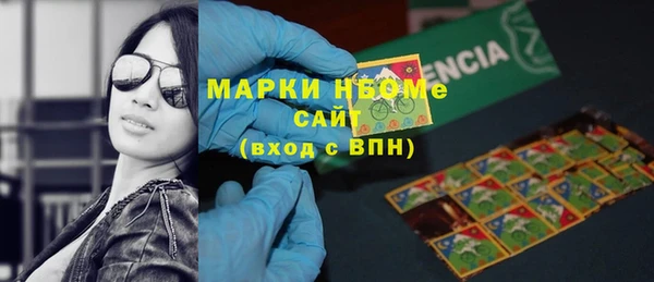 хмурый Белокуриха