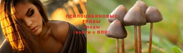 прущий лед Беломорск