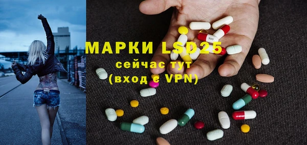 хмурый Белокуриха