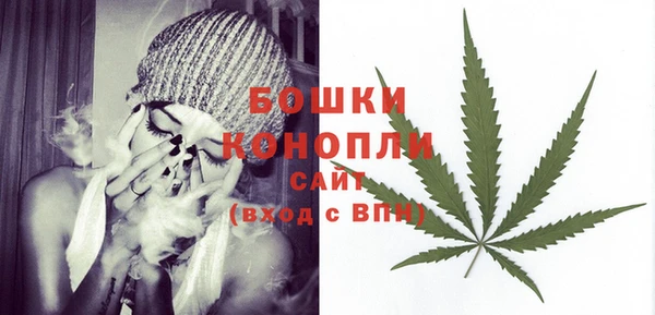 хмурый Белокуриха